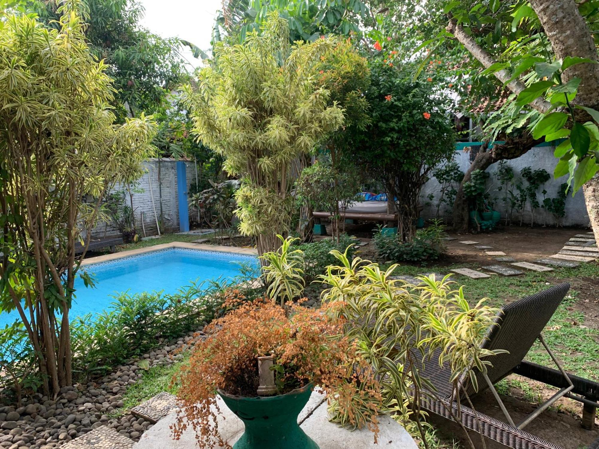 Villa Bougenville Yogyakarta Exteriör bild